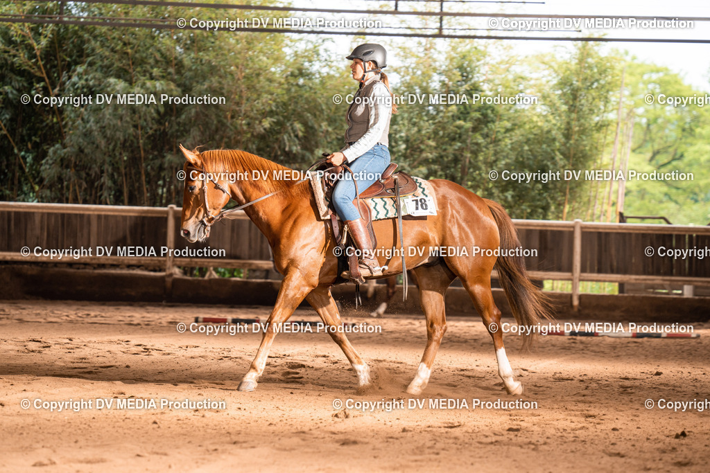 Erbach Tag 4-816 | dv-media-shop - Realisiert mit Pictrs.com