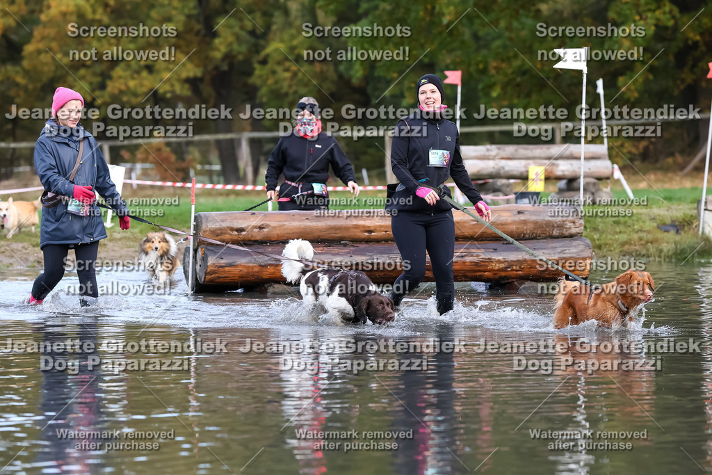 Dog Paparazzi - Strongdog 10-25-6827 | Dog Paparazzi Jeanette Grottendiek Fotografie & Videografie - Realisiert mit Pictrs.com