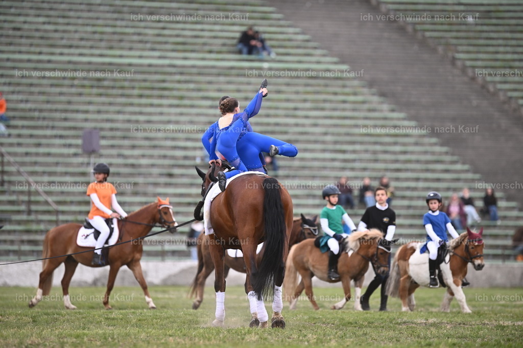 PI26_Show_Sara_Landvogt_226_1692.JPG | working equitationturnier fotograf videograf stoibphotography marixx film working equitation deutschland reitsport turnierfotografie eventfotografie equestrian events