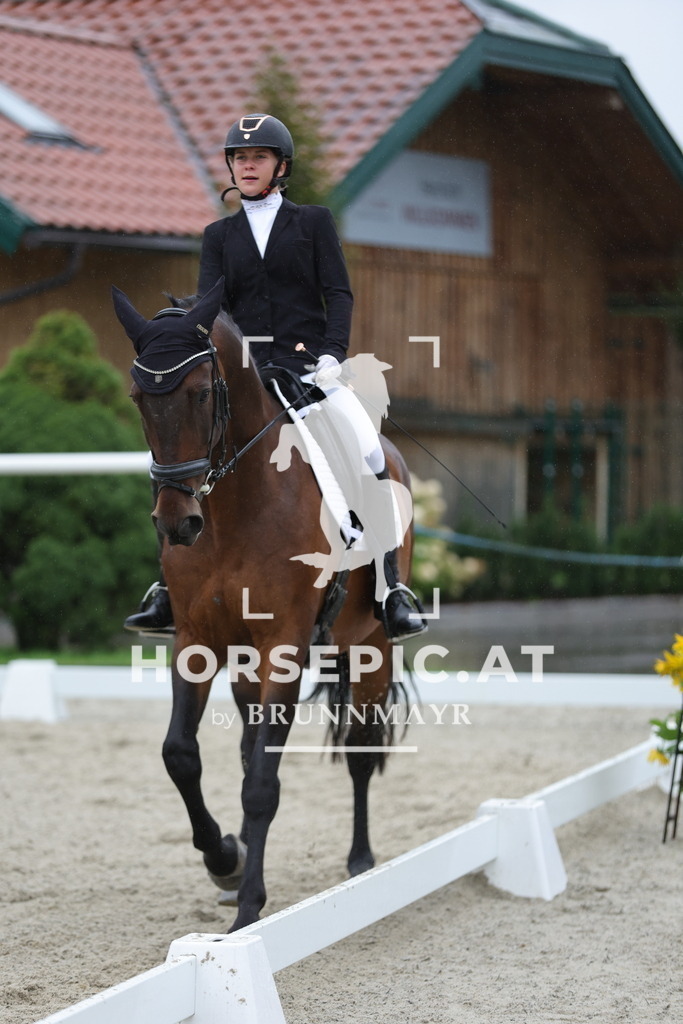 0P6A9802 | Willkommen bei Brunnmayr - Design & Fotografie – Ihrem Spezialisten für Reitturniere und Pferdeveranstaltungen in Oberösterreich, Salzburg und Bayern! Seit über 17 Jahren sind wir leidenschaftlich dabei.