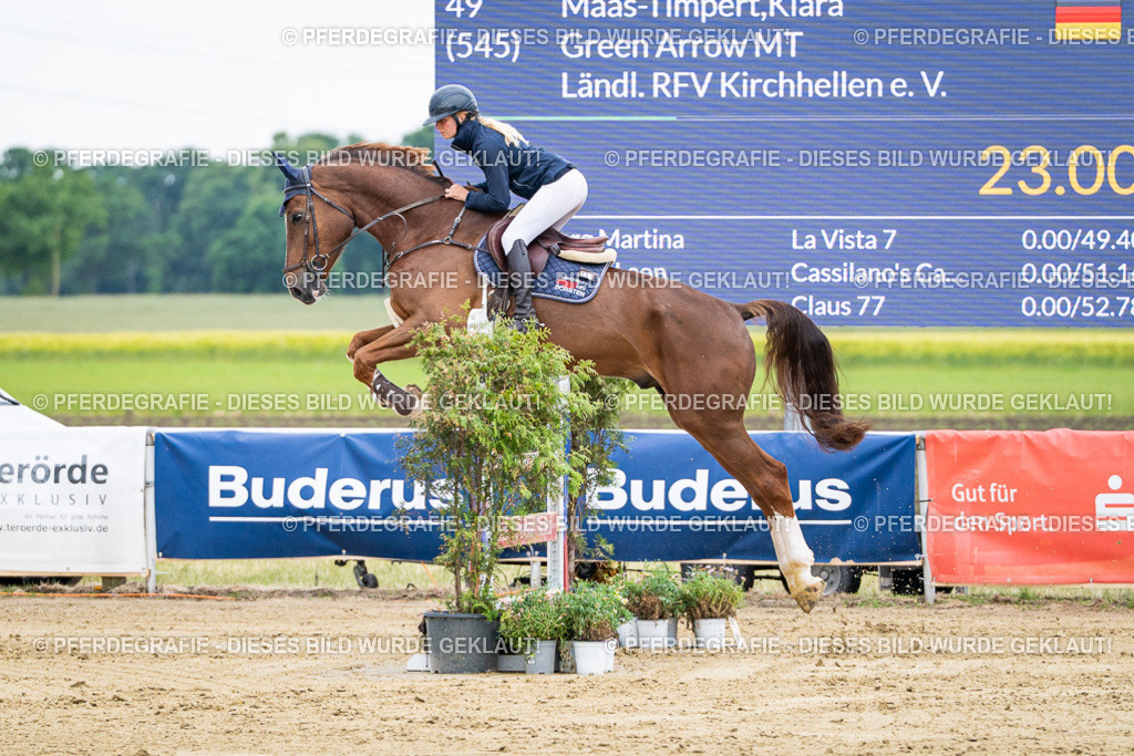 DSC05987 | Pferdegrafie