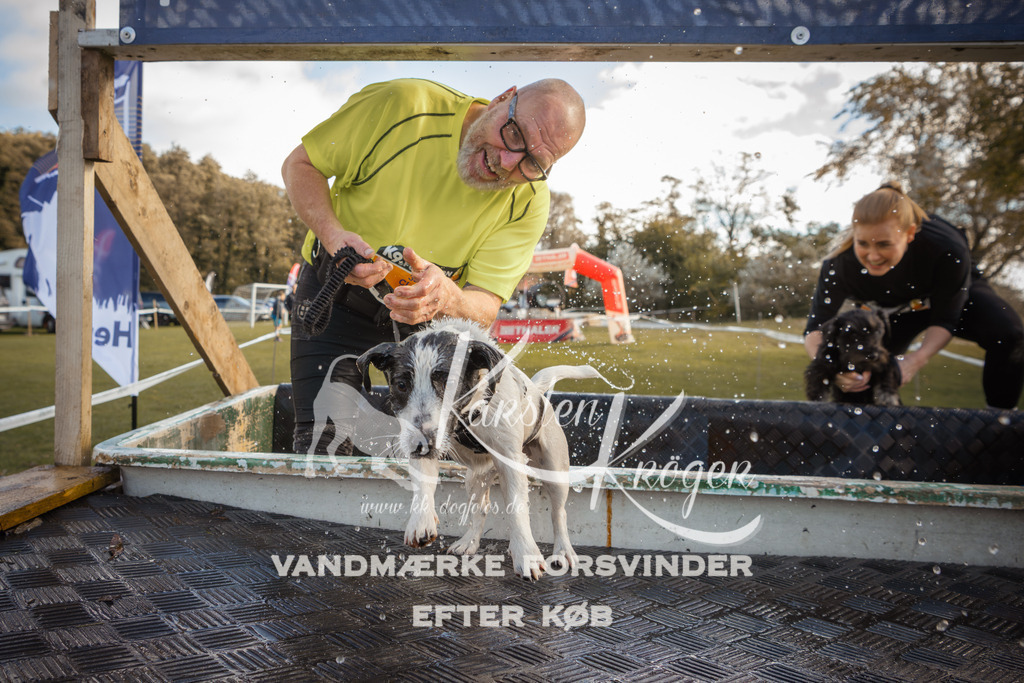 1321_ZZ90275-2 | kk-dogfotos