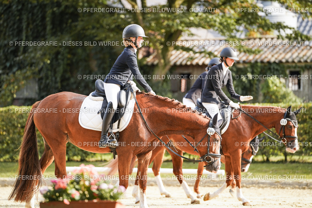 DSC06034 | Pferdegrafie