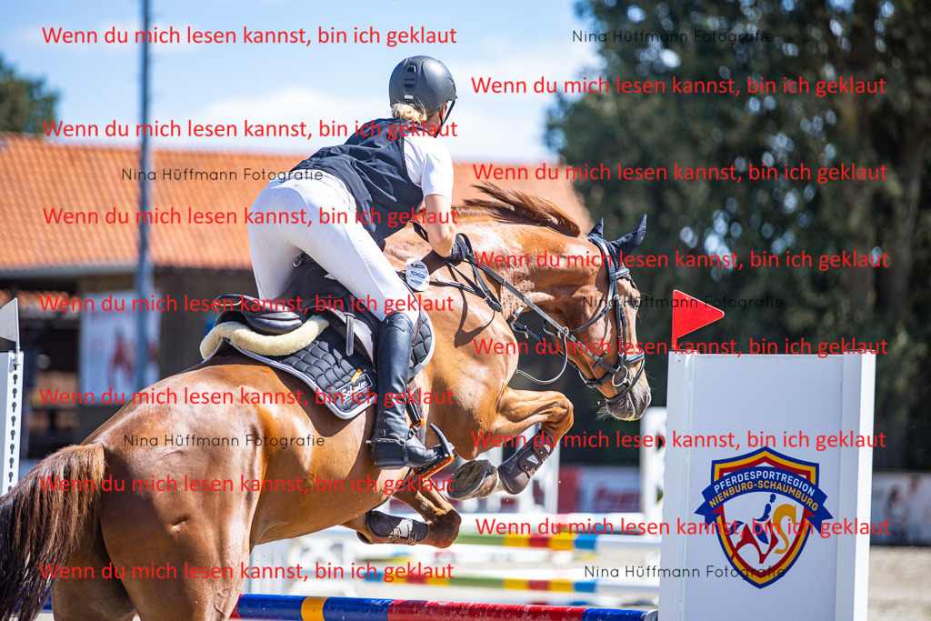 BK1A5512 | Turnierbilder Turnierfotos Nina Hüffmann Turnierfotografie Pferdefotografie Tierzeichnung Haustierzeichnung Pferdezeichnung Hundezeichnung Videograf  - Realisiert mit Pictrs.com