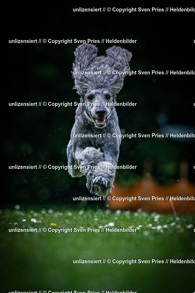 Sven Pries | 2025-05-29 - Pudelrennen KA-Durlach - Realisiert mit Pictrs.com