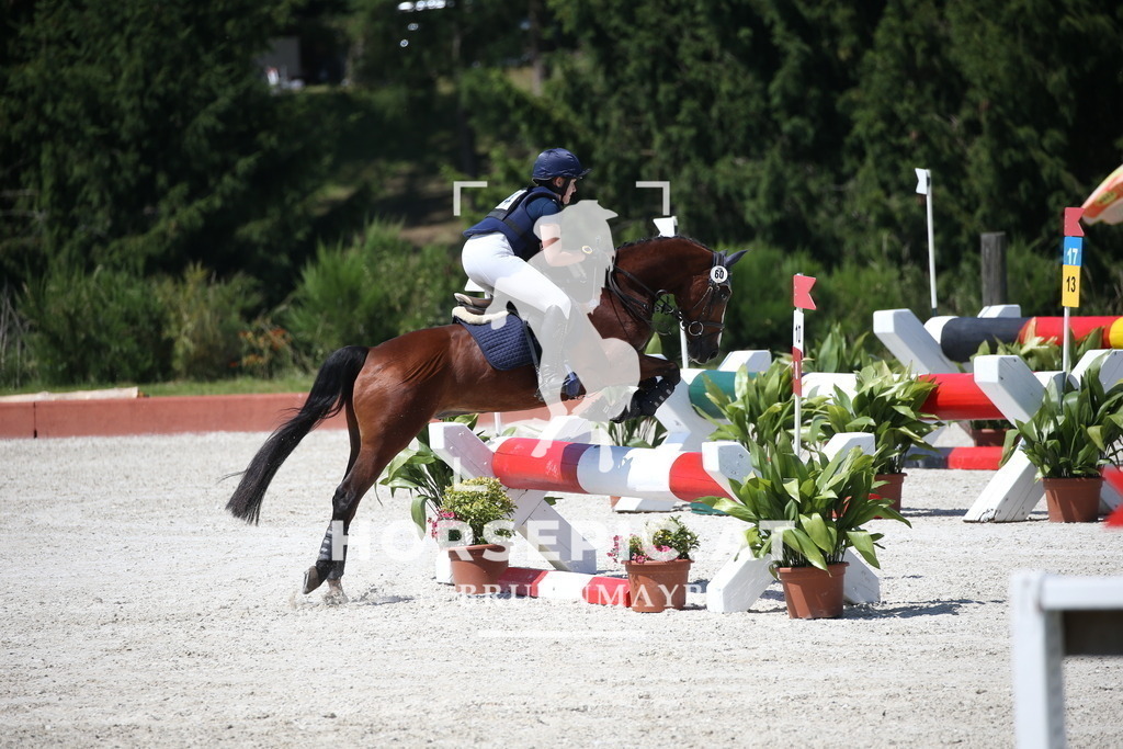 DL2Q0359 | Willkommen bei Brunnmayr - Design & Fotografie – Ihrem Spezialisten für Reitturniere und Pferdeveranstaltungen in Oberösterreich, Salzburg und Bayern! Seit über 17 Jahren sind wir leidenschaftlich dabei.