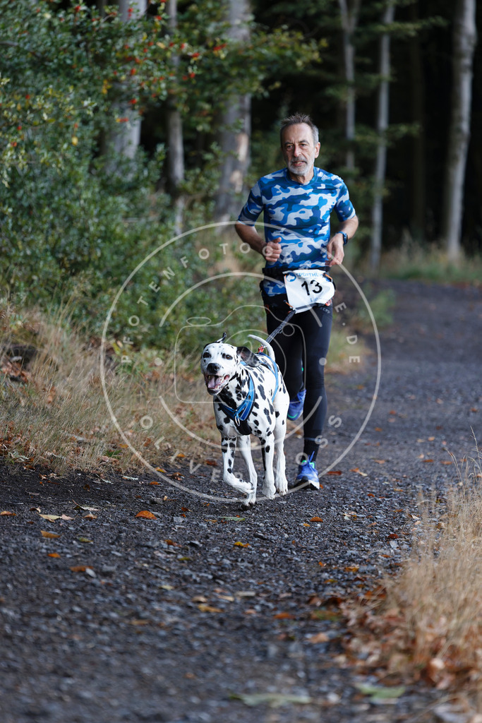 0L8A1400 | Hundefotografie, Tierfotograf, Pfotenfotografie, Fotoshooting Hund, Hunde Portrait, Hundesport, Hundeportraits, Heideshooting, Hunde, Sportfotograf, Hundefotograf, Turnierhundsport, THS,  - Realisiert mit Pictrs.com