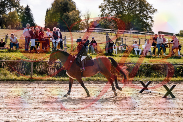 2026_10_03_Siefer-Hof_143808_Z81_07902867 | Professionelle Reitsport-, Turnier- und Eventfotografie von Robert Broda. Galerien mit ausgewählten und bearbeiteten Bildern direkt online ansehen und bestellen.