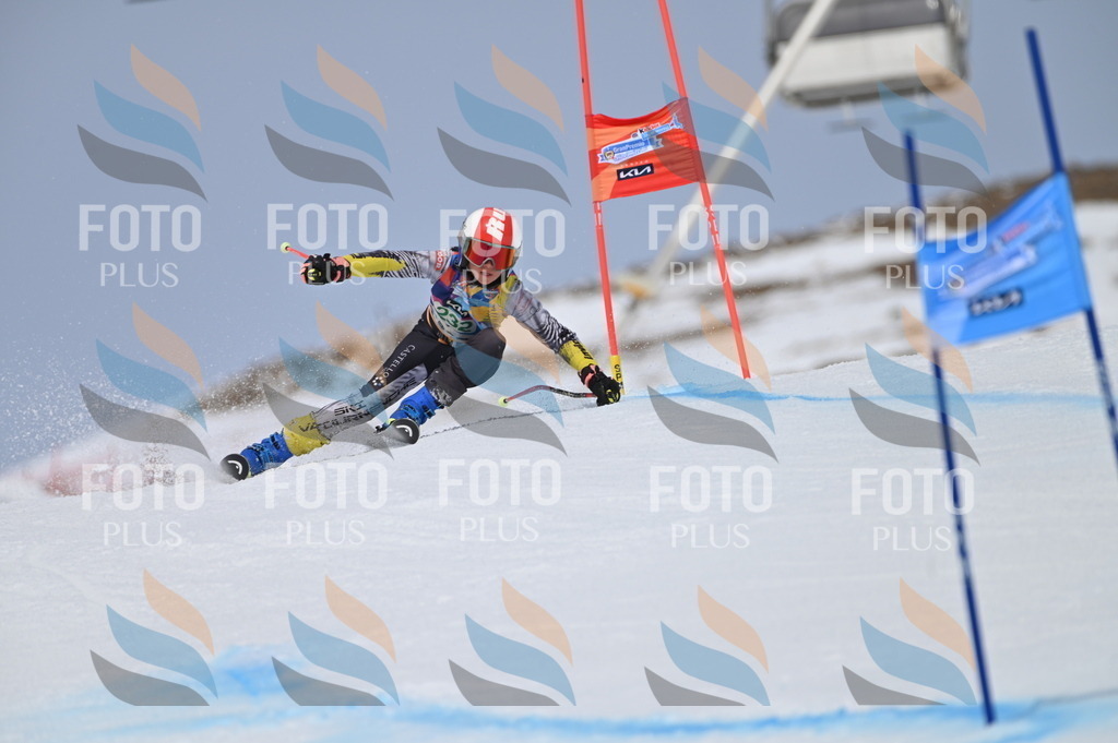 BGV_4590 | holidayphoto