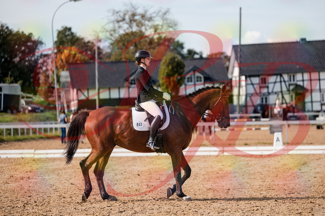 2026_10_03_Siefer-Hof_130846_Z63_70589314 | Professionelle Reitsport-, Turnier- und Eventfotografie von Robert Broda. Galerien mit ausgewählten und bearbeiteten Bildern direkt online ansehen und bestellen.
