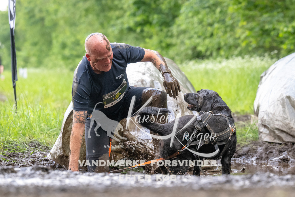 1300_ZZ94463 | kk-dogfotos