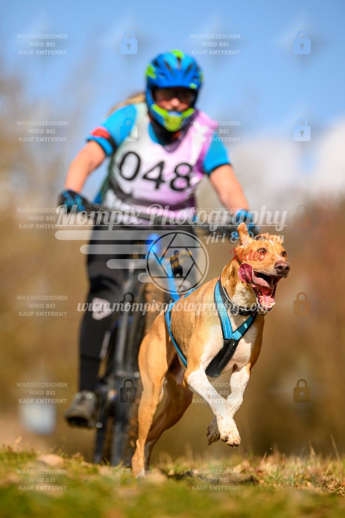 MompixPhotography_10Schwabentrail2026_SO_Bike-58 | PayLife