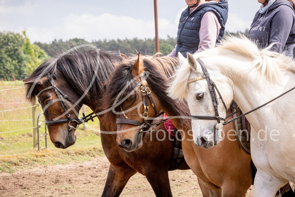 846A0958 | fotosleben - Realisiert mit Pictrs.com