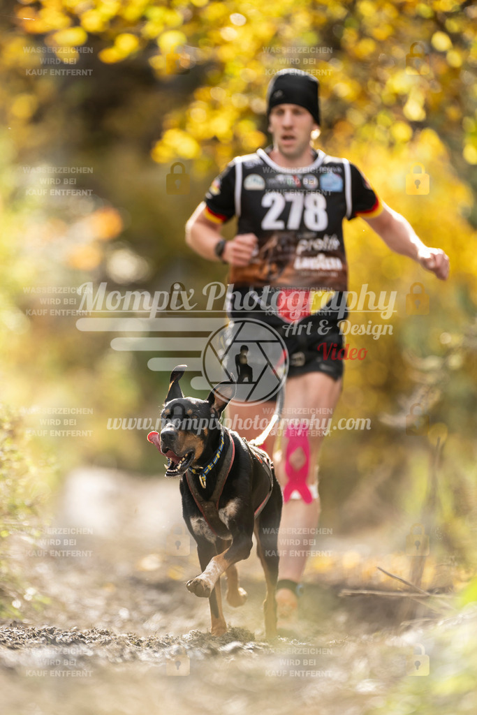MompixPhotography_ICF_WC_2024_SA_Run_-121 | PayLife