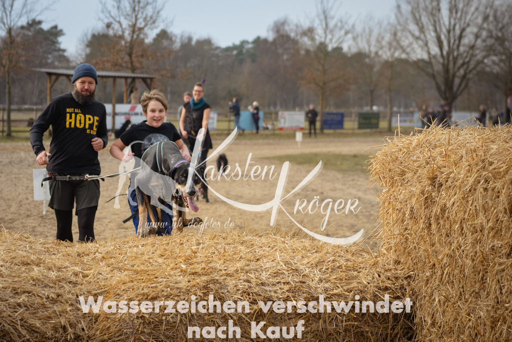 1040_ZZ97476 | kk-dogfotos