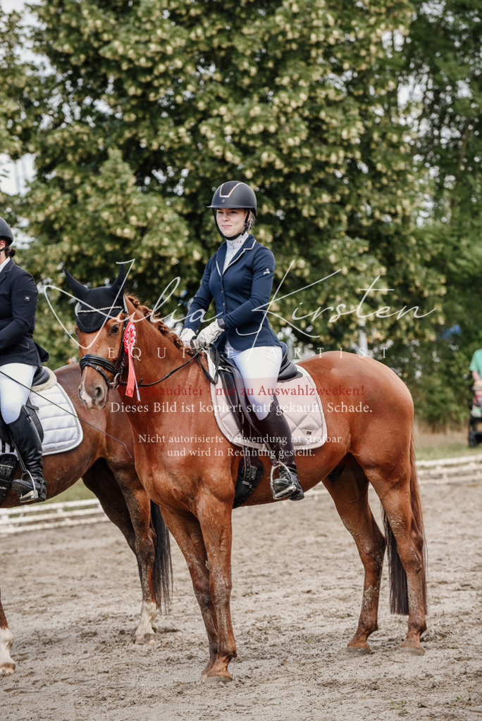 DSC_9362 | Pferde- und Turnierfotografie in Westsachsen. Pferdeportraits, Auftragszeichnungen und intuitive Kunst.