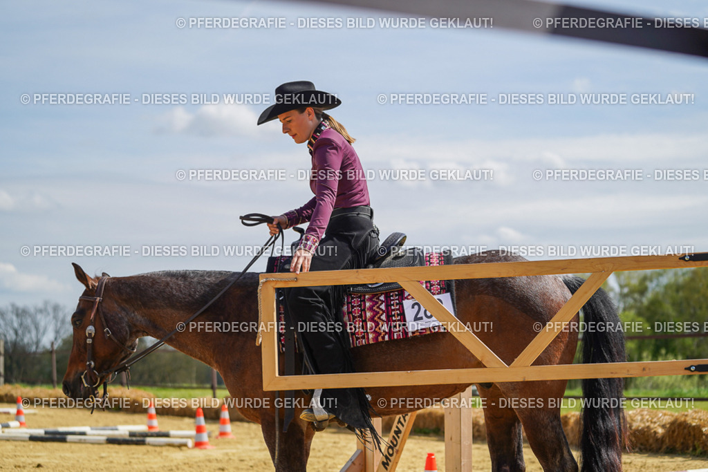 DSC04973 | Pferdegrafie