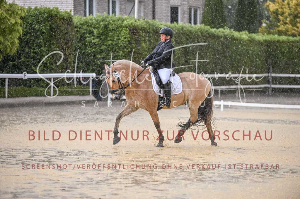 Schugtsche-Aluta25-54.Dressurprf.L1Trense-89 | Schugtsche Fotografie - Realizzato con Pictrs.com