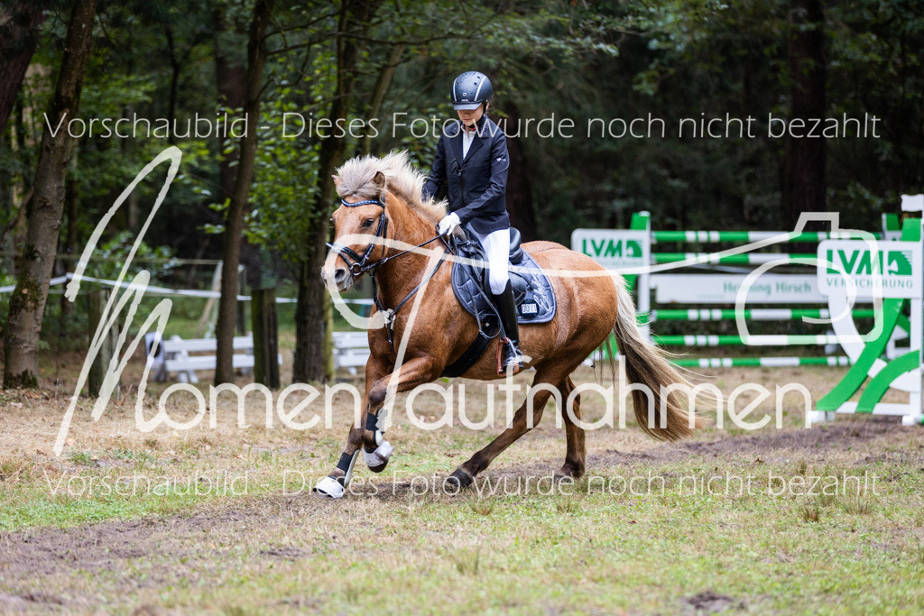 HB-Springreiter-039 | MomenTaufnahmen Pferdesportfotos