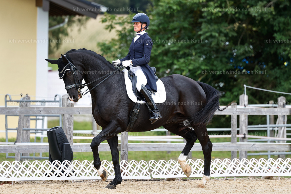 11-042-Dressur S___-StoibPH-1181 | working equitationturnier fotograf videograf stoibphotography marixx film working equitation deutschland reitsport turnierfotografie eventfotografie equestrian events