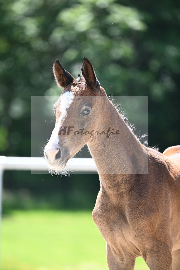 Kat-Nr. 26 HF Vingino_Ruhland_16230326 | hf-fotografie - Realisiert mit Pictrs.com