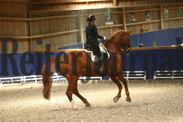 Turnier_Zeutern_2022_Prfg.Nr.03_Dressur_Kl.S_Ramona Ritzel_DSP Belcanto (11) | Alle Fotos der Reiterjournal Fotografin Doris Matthaes im Reiterjournal Online-Fotoshop. - Realisiert mit Pictrs.com