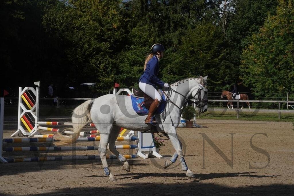 rveinoedsonntag (572) | d.tail Visions - Shop - Realisiert mit Pictrs.com