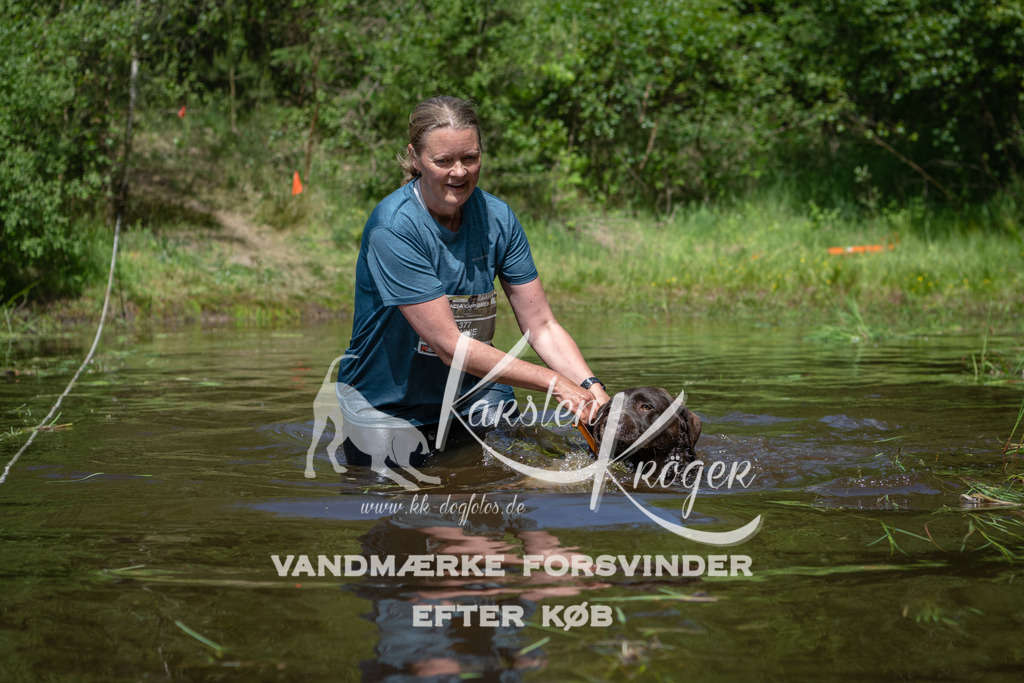 1201DKK991551 | kk-dogfotos