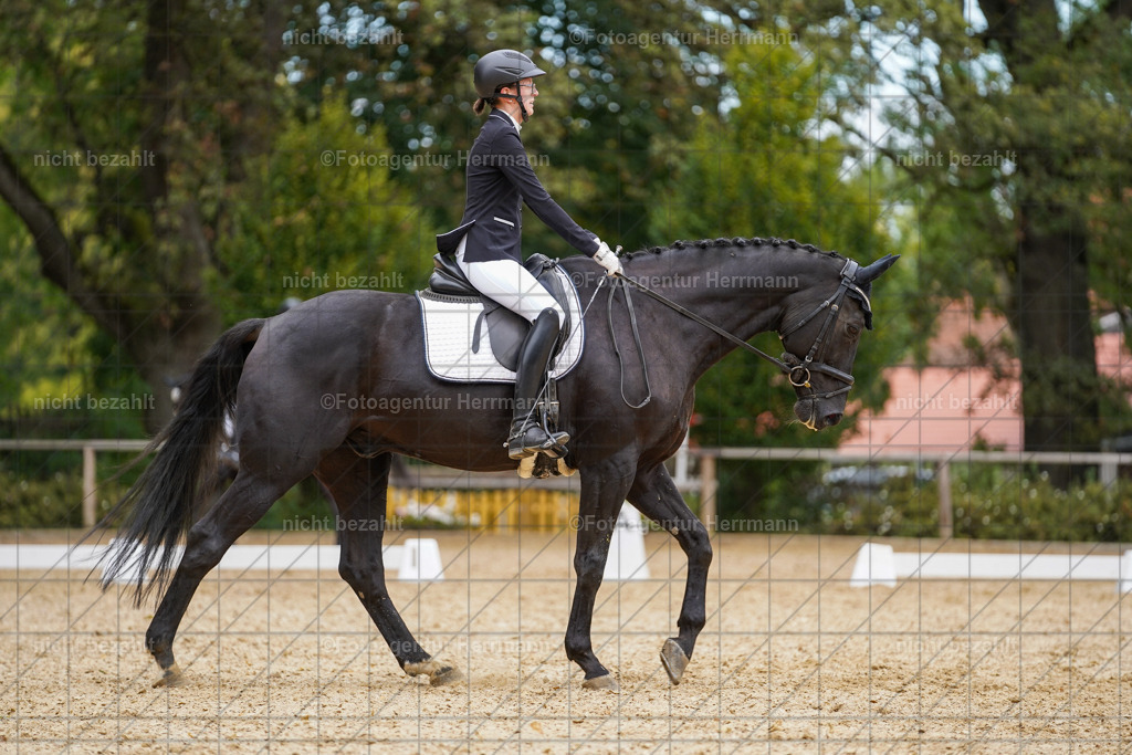 20231007-SN_00533 | Diessen am Ammersee, 2023, Dressur- und Springturnier, Reitsport, Turnierfotografie, Pferdebilder, Reitbilder, Turnierfotografen Bayern, Fotoagentur Herrmann
