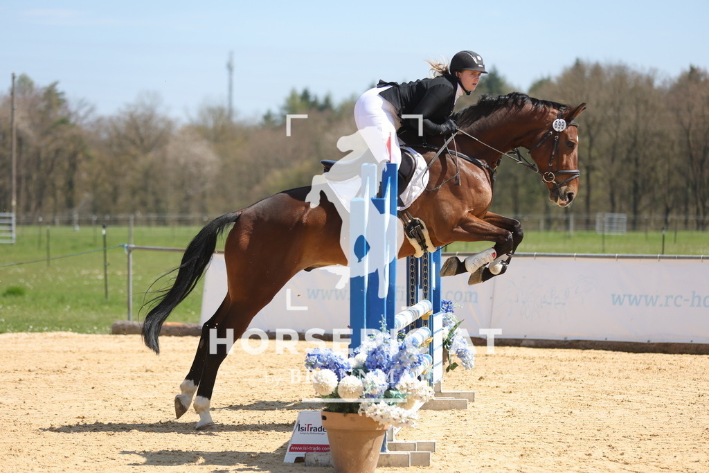 0P6A0419 | Willkommen bei Brunnmayr - Design & Fotografie – Ihrem Spezialisten für Reitturniere und Pferdeveranstaltungen in Oberösterreich, Salzburg und Bayern! Seit über 17 Jahren sind wir leidenschaftlich dabei.