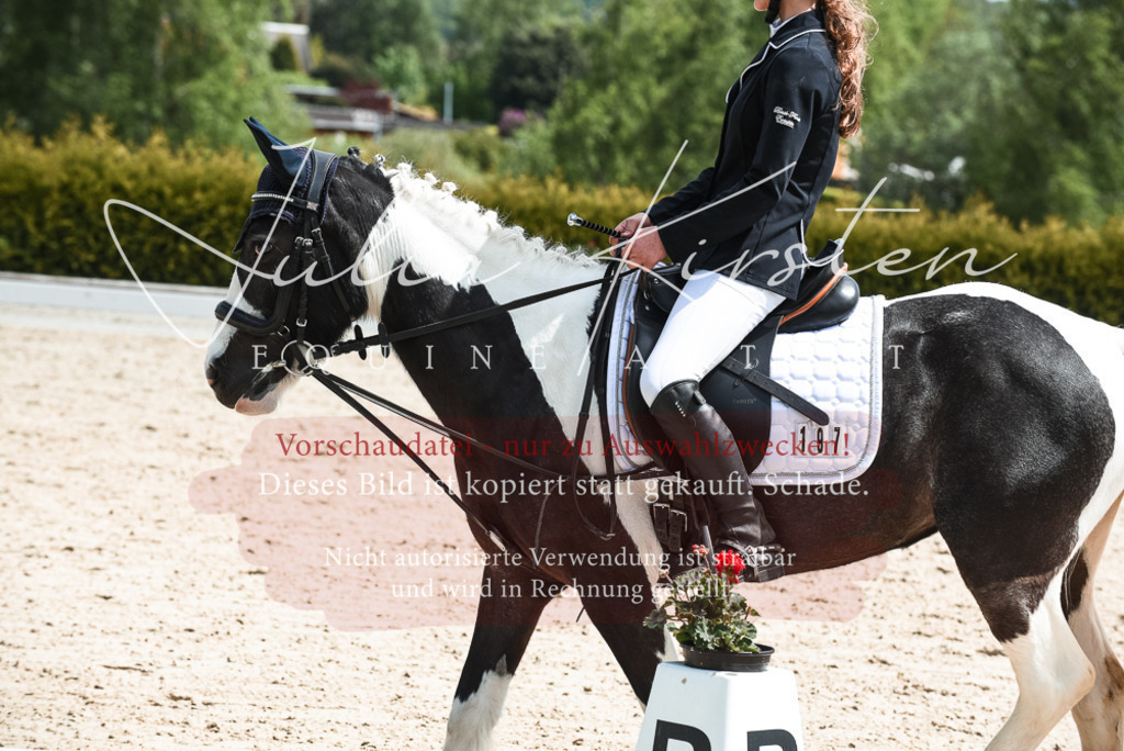 20230518_JK-Röhrsdorf-11-0297 | Pferde- und Turnierfotografie in Westsachsen. Pferdeportraits, Auftragszeichnungen und intuitive Kunst.