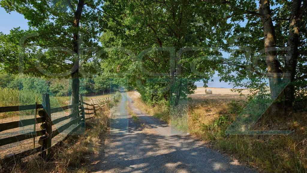 2022-07-30 09-37-33__5_19989 | Nitz Fotografie aus Montabaur bietet Ihnen hier die Möglichkeit Bilder auszusuchen und zu bestellen. 