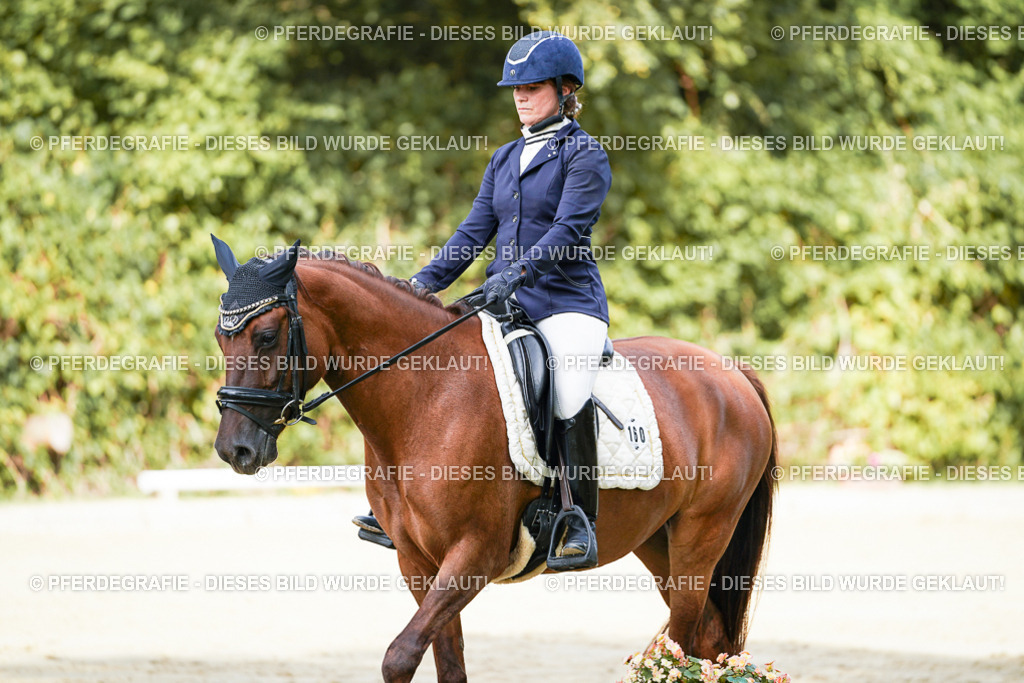 DSC02174 | Pferdegrafie