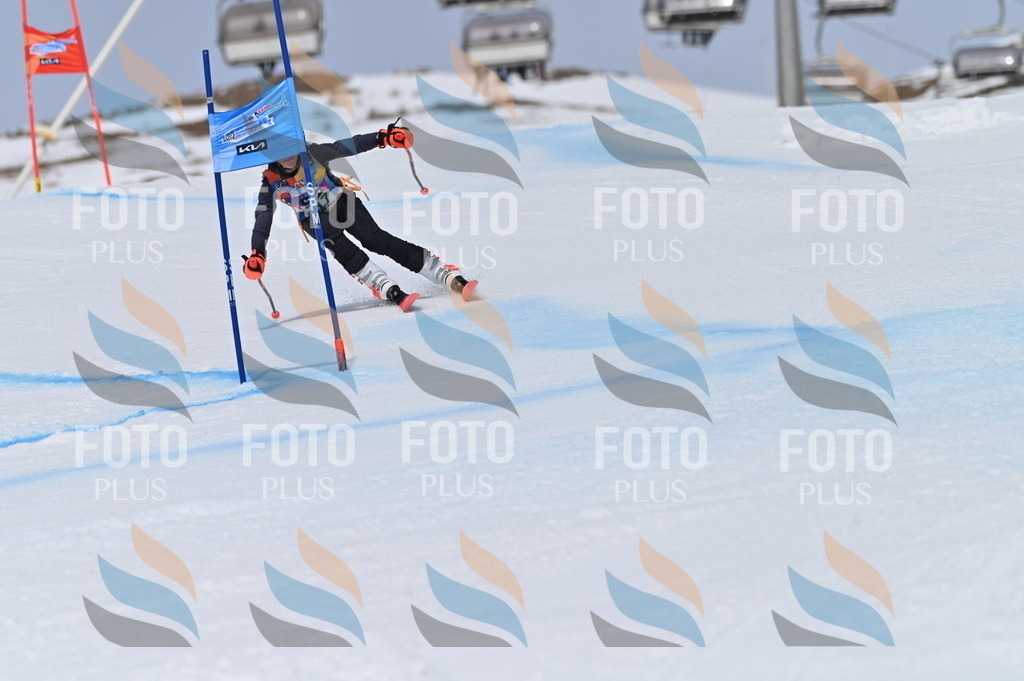 BGV_4228 | holidayphoto