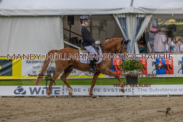 24.7.25 D1 33 (249 von 544) | mandyhollmannphotographie