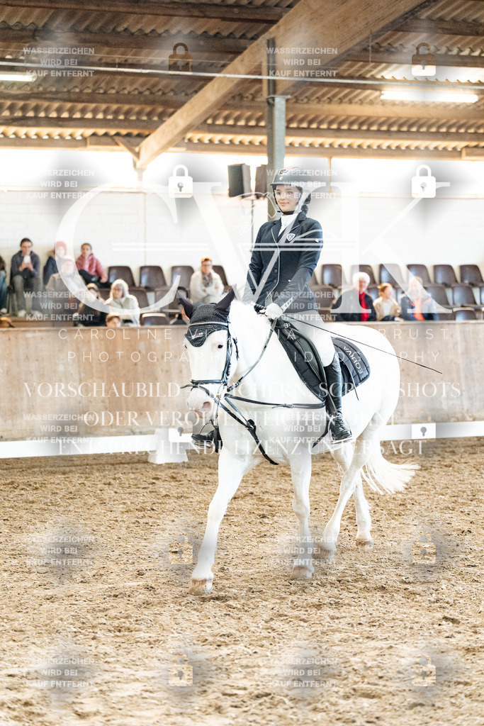 CK909995 | Turnierfotografie Pferdefotografie Trier Rheinland-Pfalz Pferdesport Reitsport Tierfotografie Sportfotografie Pferdevideo Pferdevideografie Equestrianvideography equestrianphotography  - Realized with Pictrs.com