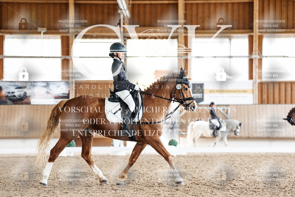 CK900856 | Turnierfotografie Pferdefotografie Trier Rheinland-Pfalz Pferdesport Reitsport Tierfotografie Sportfotografie Pferdevideo Pferdevideografie Equestrianvideography equestrianphotography  - Realisiert mit Pictrs.com