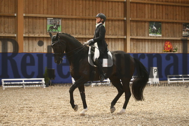 Turnier_Zeutern_2022_Prfg.Nr.02_Kurz-GrandPrix_Petra van Esch_Fiftyfifty 3 (24) | Alle Fotos der Reiterjournal Fotografin Doris Matthaes im Reiterjournal Online-Fotoshop. - Realisiert mit Pictrs.com