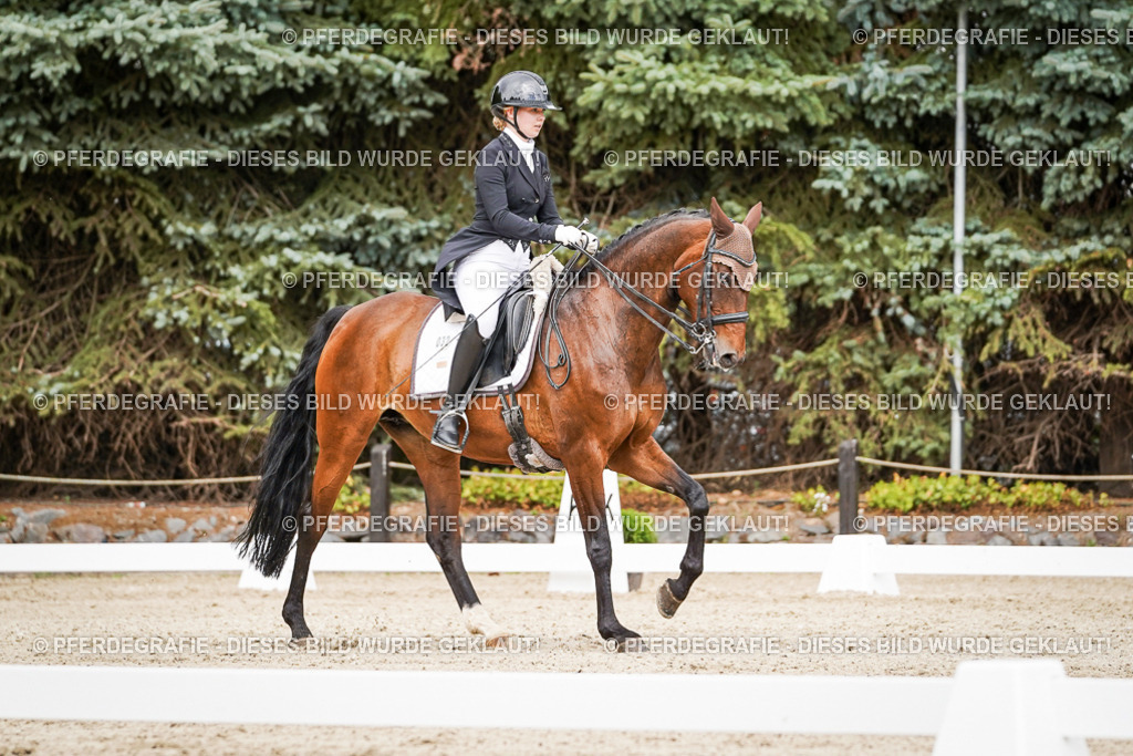 DSC05613 | Pferdegrafie