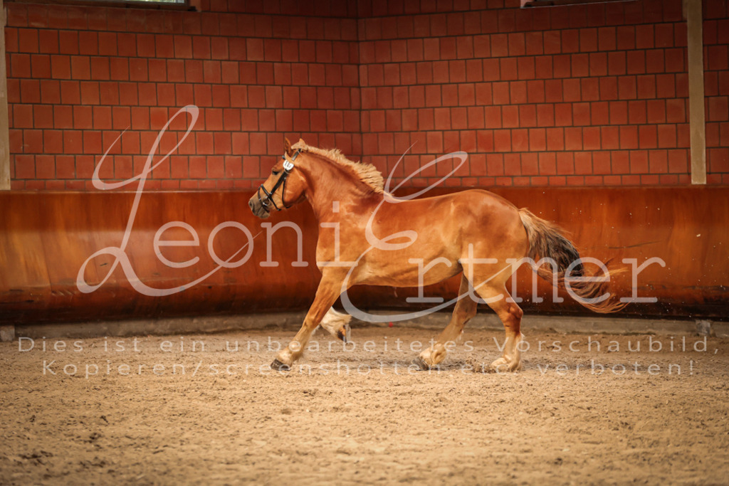 SaFL00172 | Leoni Ertmer Photography - Realisiert mit Pictrs.com