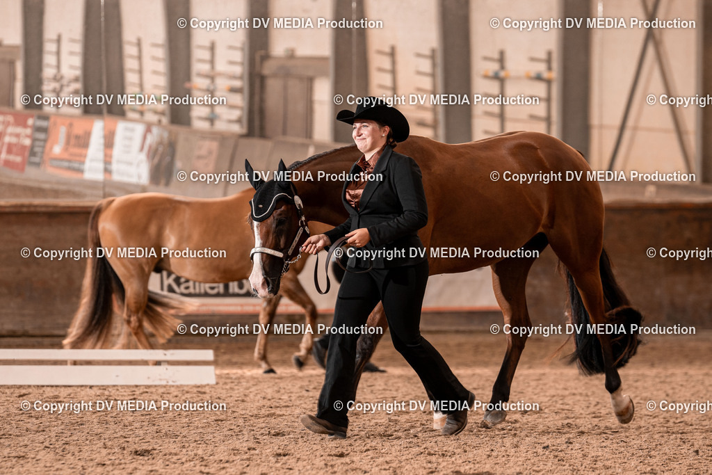 LM Heiligenwald Tag 1-356 | dv-media-shop - Realisiert mit Pictrs.com