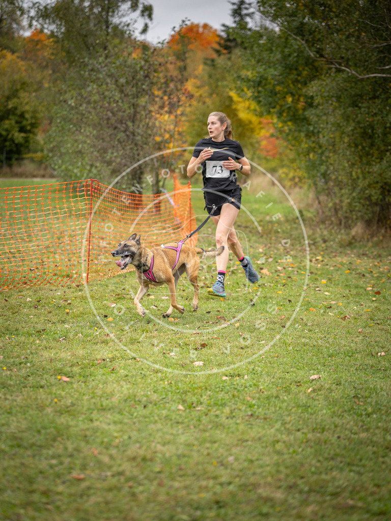 Pfotenfotografie_DV3A2879 | Hundefotografie, Tierfotograf, Pfotenfotografie, Fotoshooting Hund, Hunde Portrait, Hundesport, Hundeportraits, Heideshooting, Hunde, Sportfotograf, Hundefotograf, Turnierhundsport, THS,  - Realisiert mit Pictrs.com