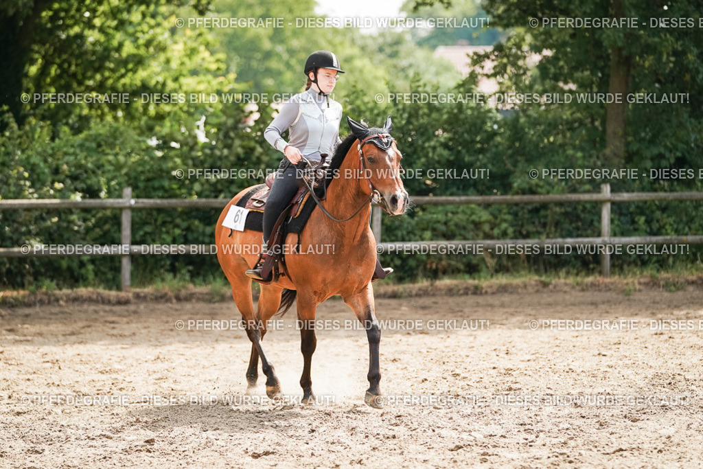 DSC04987 | Pferdegrafie