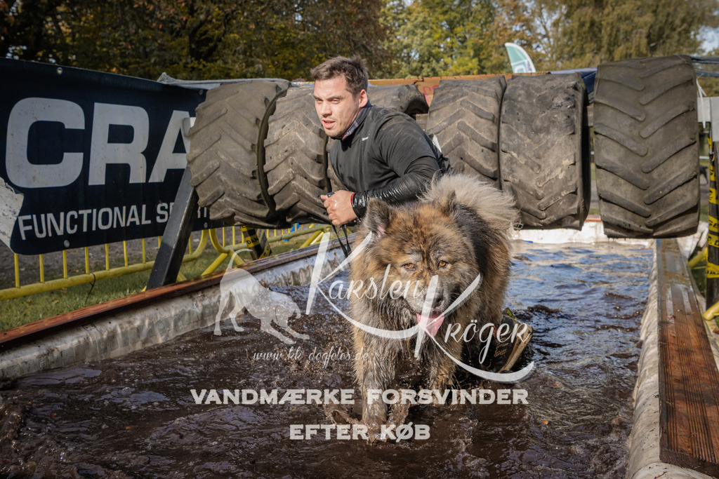 1411_ZZ94119 | kk-dogfotos