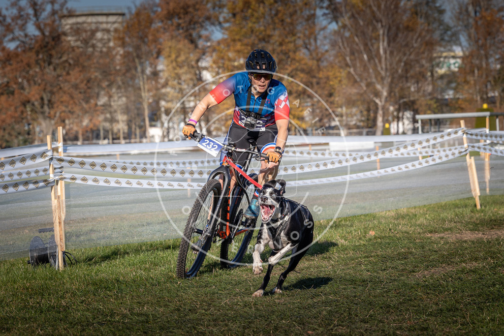 CaniXpix_0L8A4752 | Hundefotografie, Tierfotograf, Pfotenfotografie, Fotoshooting Hund, Hunde Portrait, Hundesport, Hundeportraits, Heideshooting, Hunde, Sportfotograf, Hundefotograf, Turnierhundsport, THS,  - Realisiert mit Pictrs.com