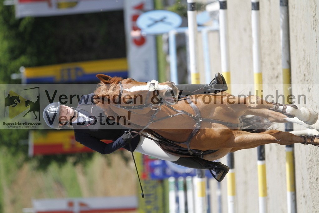 _MG_8643 | equestrian-live-com