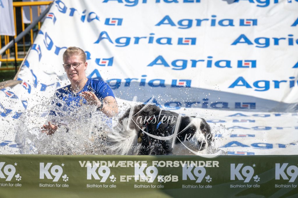 1145_ZZ93800 | kk-dogfotos