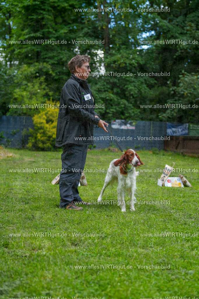 @allesWIRTHgut_Tierfotografie - www.allesWIRTHgut.de - 7R505981 | Professionelle Tierfotografie in Mönchengladbach von Daniel Wirth (allesWIRTHgut). Liebevolle & natürliche Bilder von Hunden & Katzen für unvergessliche Erinnerungen.