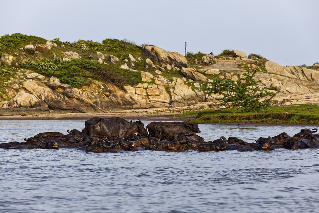 1H5A0925 | ansichtssache