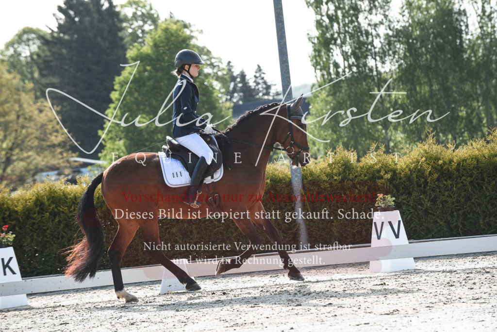 20230518_JK-Röhrsdorf-09-0854 | Pferde- und Turnierfotografie in Westsachsen. Pferdeportraits, Auftragszeichnungen und intuitive Kunst.